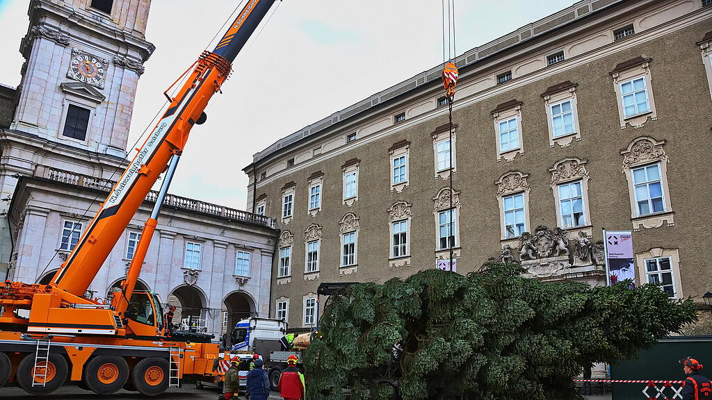 Baum am Christkindlmarkt eingetroffen II