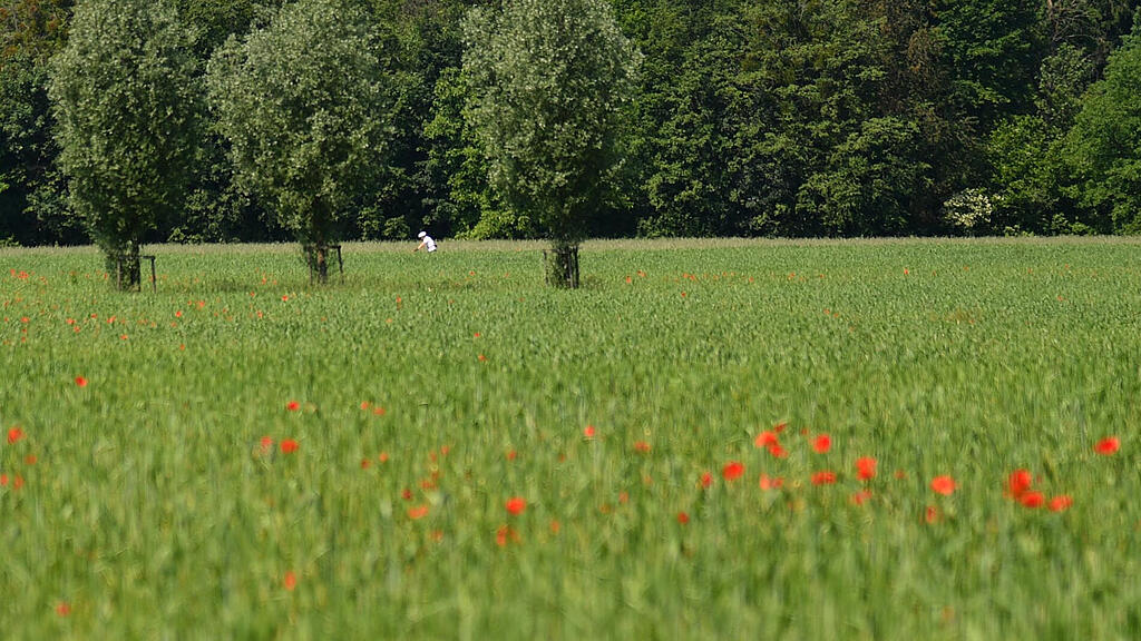 Wochenende Wetter in Salzburg