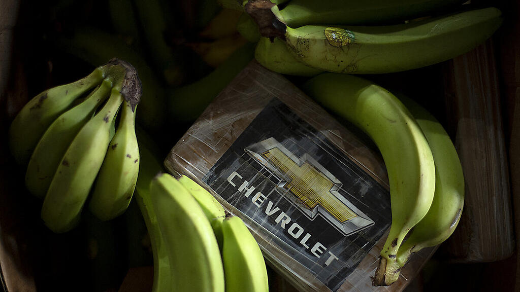 Knapp 9,5 Tonnen Kokain in Algeciras zwischen Bananen entdeckt