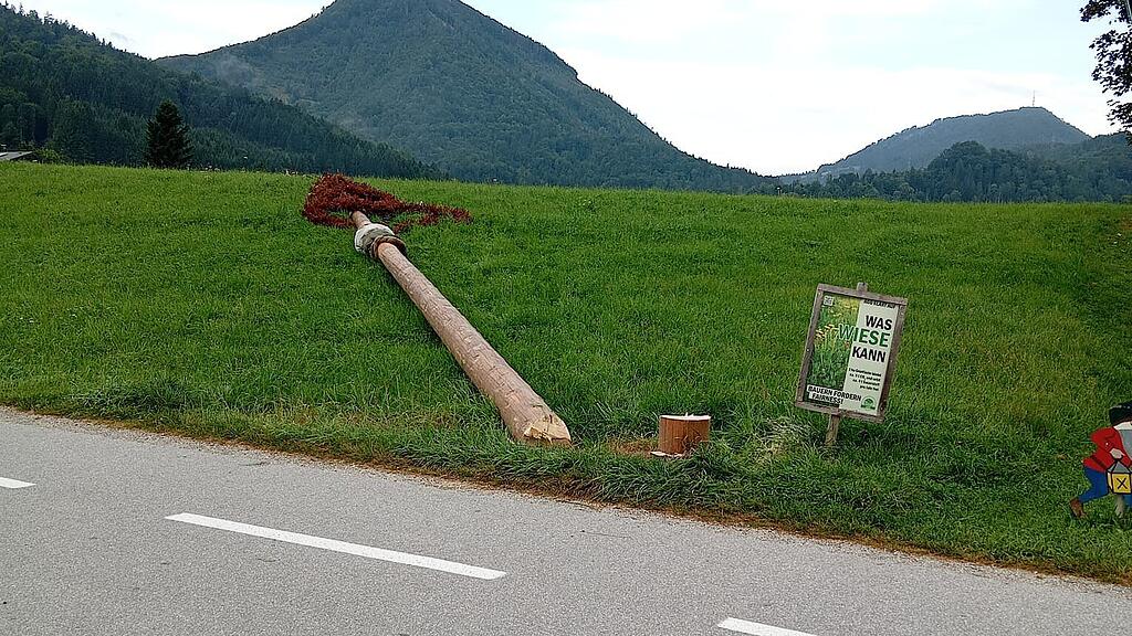 Maibaum
