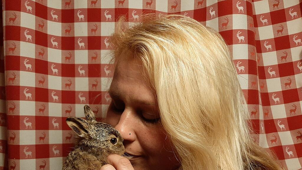 Hasenbabys in Salzburg gerettet