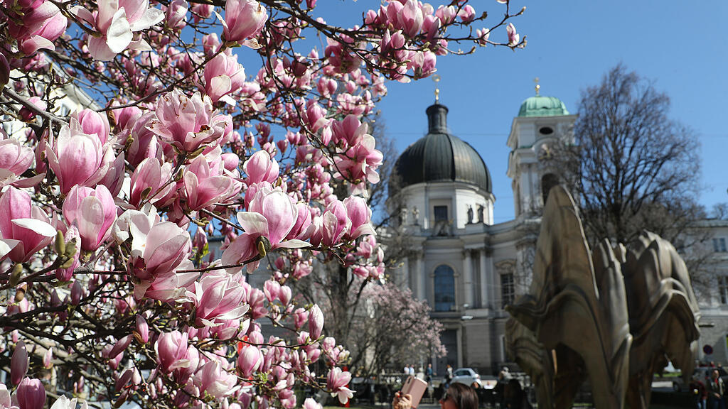 symb_Frühling, symb_Sonne, symb_Wetter