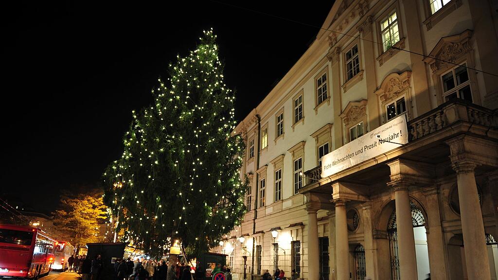 Der Christbaum vor dem Schloss Mirabell kommt heuer aus Radstadt.