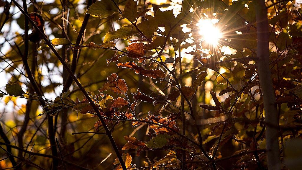 symb_Sonne, symb_Herbst, symb_Herbstsonne, symb_Spätsommer