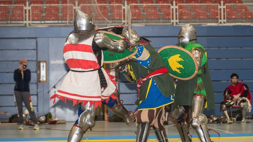 Battle of Nations: Qualifikation in Salzburg