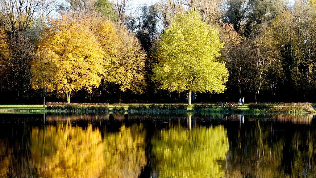 Der Herbst 2016 war relativ mild und trocken.