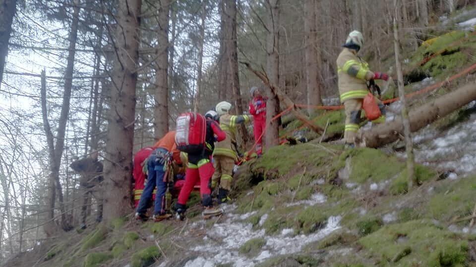 Forstunfall in Ramingstein