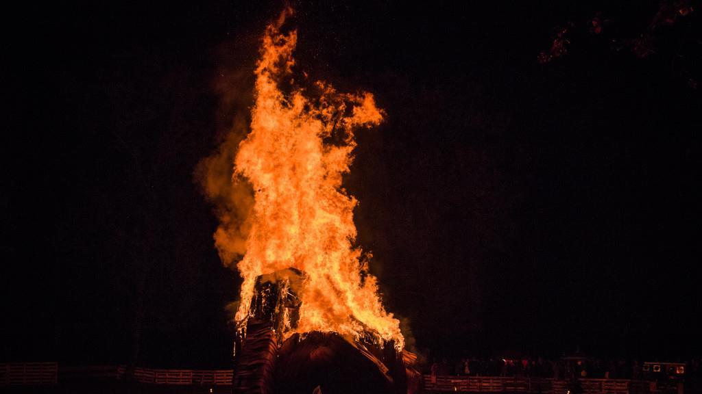 Burning Animal II
