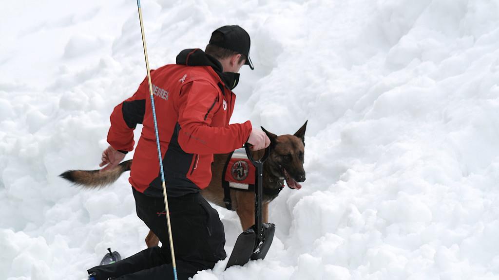 Lawinenhunde im Übungseinsatz im Heutal