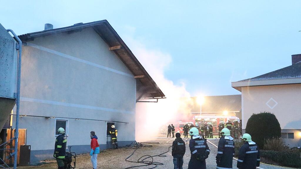 Die Feuerwehr konnte trotz schnellen Eingreifens das tragische Tierschicksal nicht verhindern.