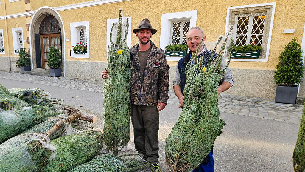 Aufbau des Plainer Christkindlmarkts in Bergheim