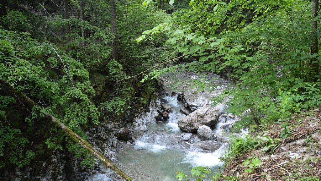 Hochwasser-Schäden in der Glasenbachklamm