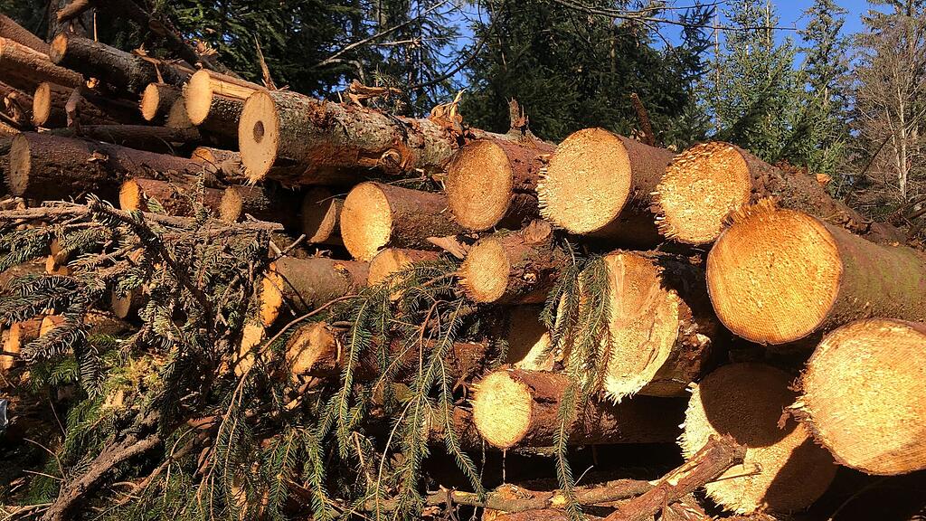 symb_wald; symb_holzarbeiten; symb_holz