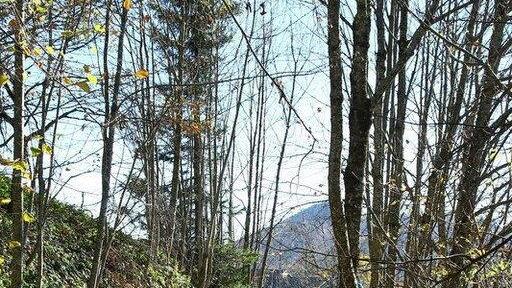 Charity-Walk am Gaisberg