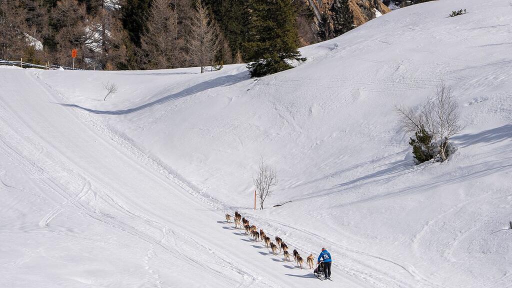 Schlittenhunde-WM in Sportgastein, Samstag