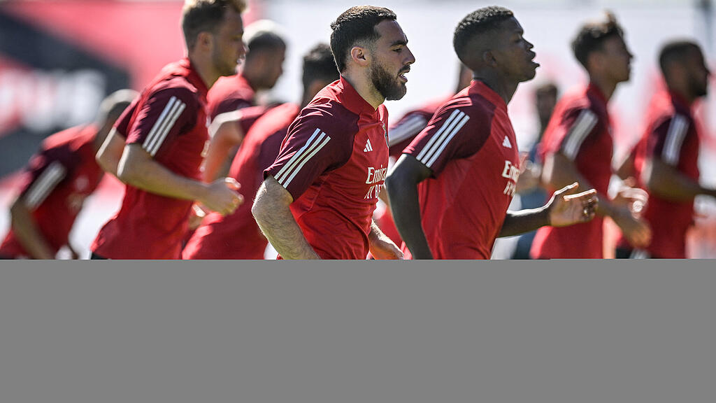 Roger Schmidt, Benfica Lissabon