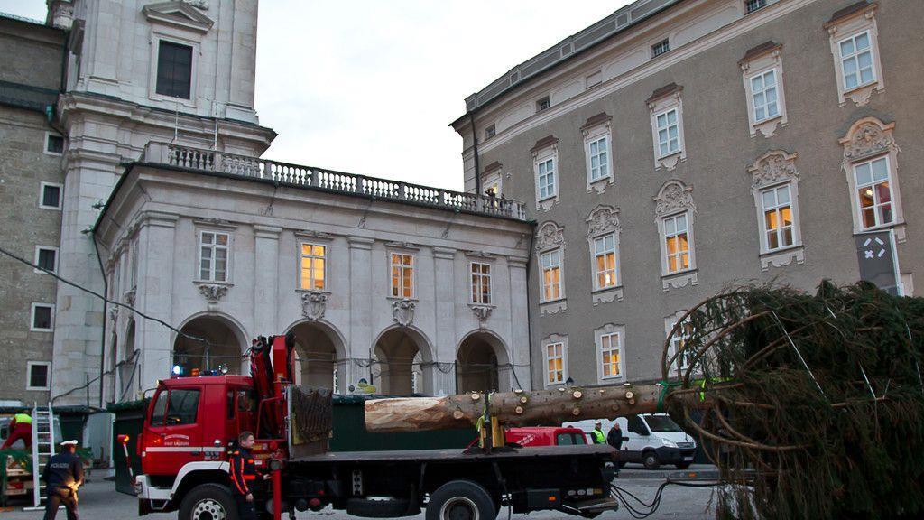 Christbaum ist angekommen