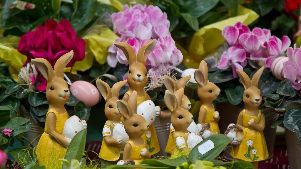 Gartenmesse