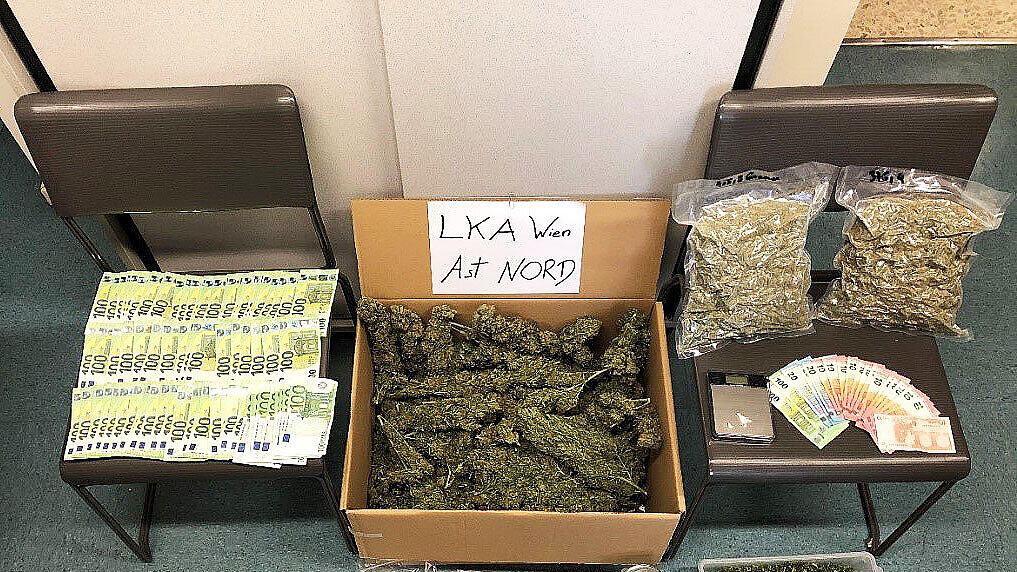Cannabis, Wien