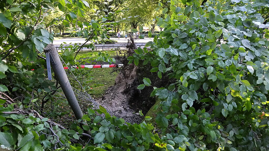 lepi unwetter schäden