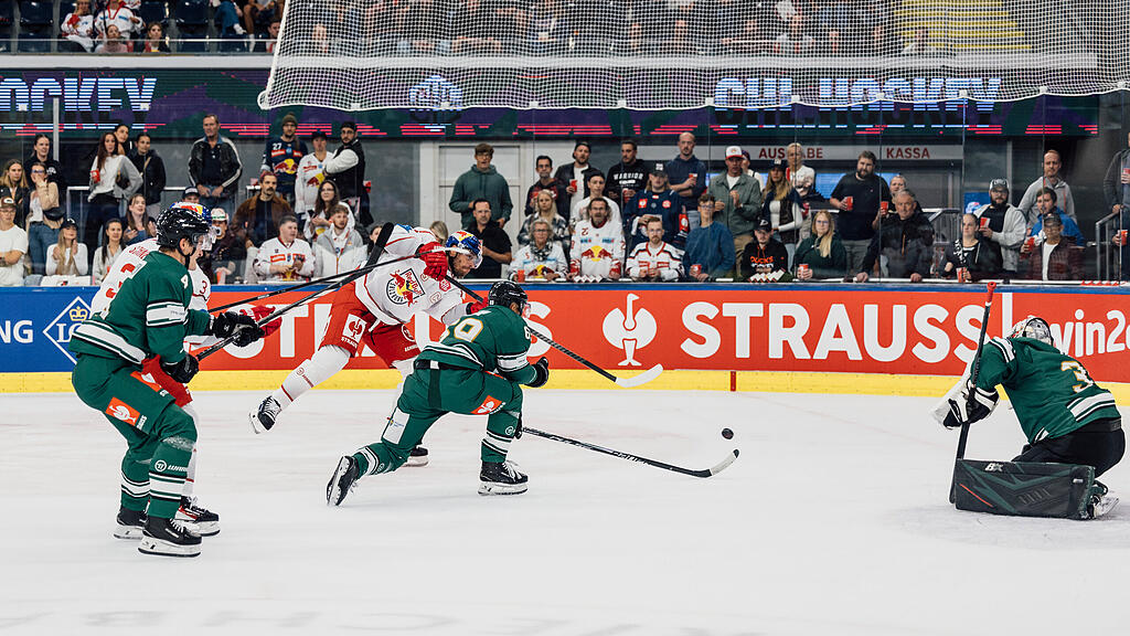 Champions Hockey League CHL : EC Red Bull Salzburg vs. GKS Tychy