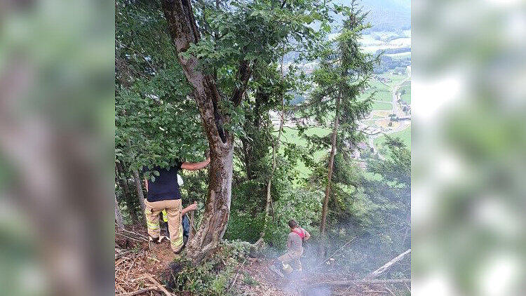 Waldbrand Strobl
