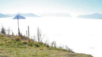 Bilder vom Gaisberg