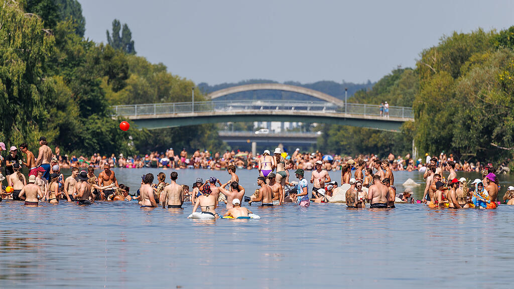 Frequency Festival