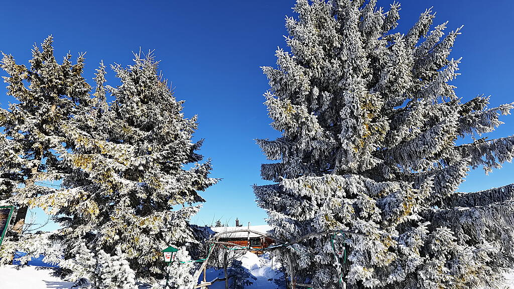Wanderung über verschneiten Gaisberg
