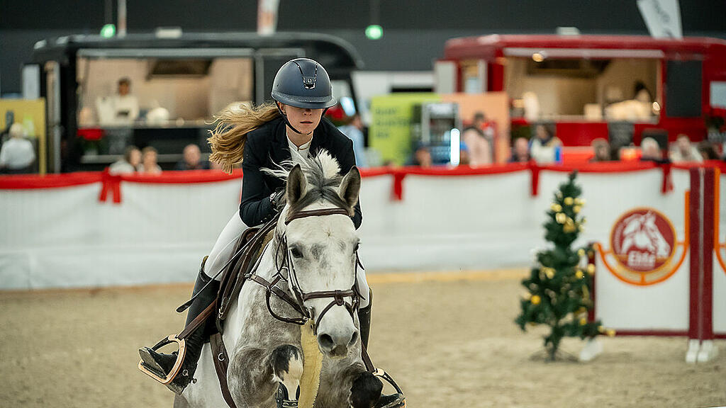 Amadeus Horse Indoors 2023