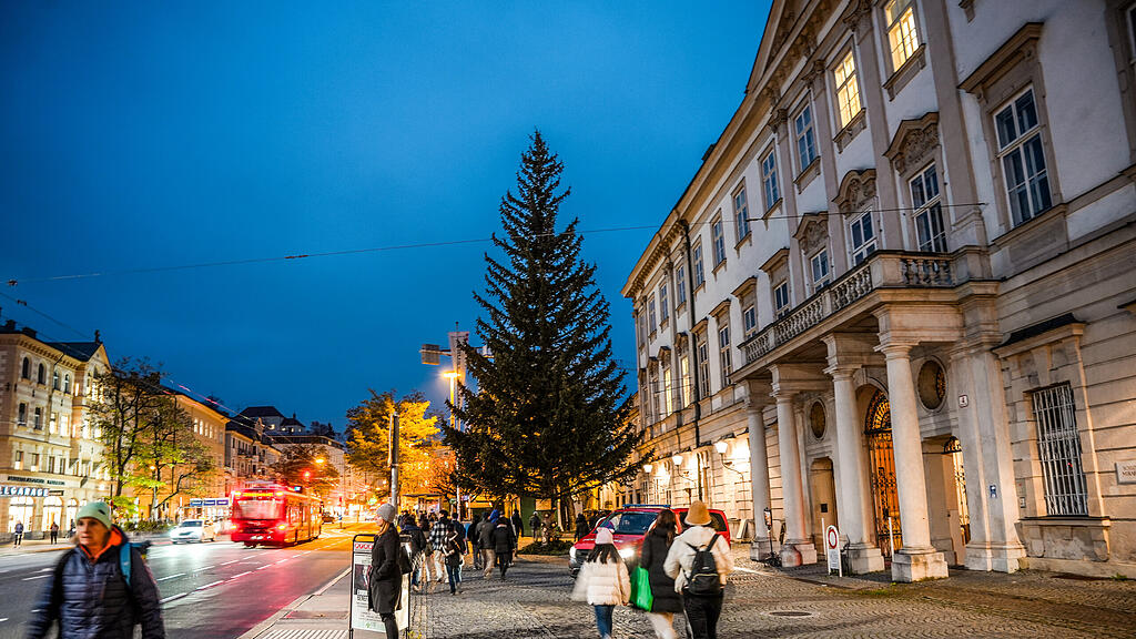Christbaum MIrabellplatz