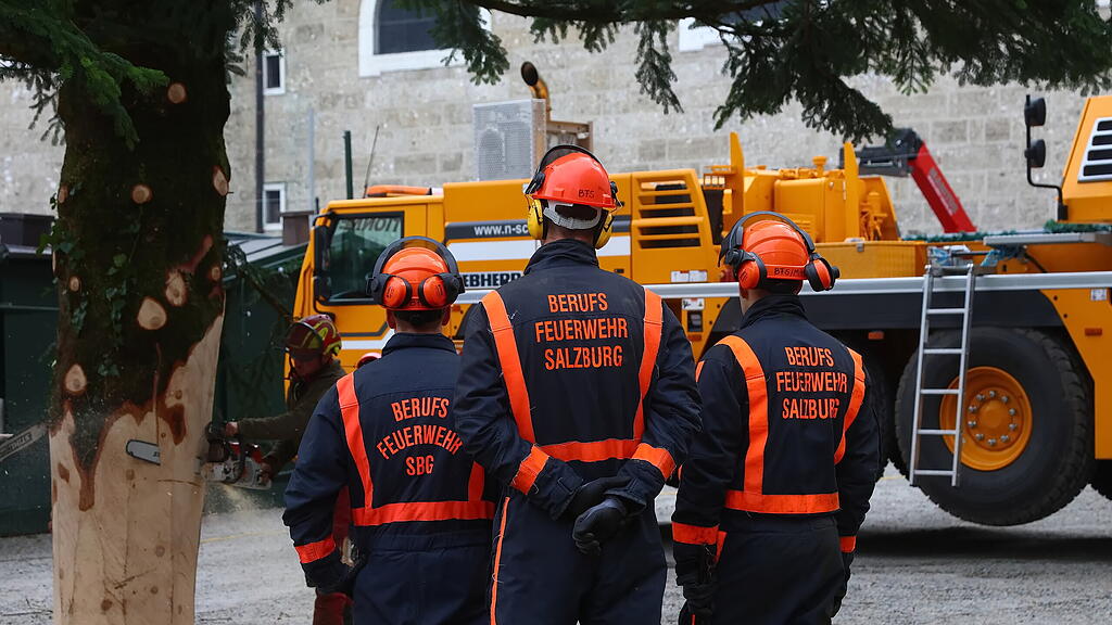 Baum am Christkindlmarkt eingetroffen II
