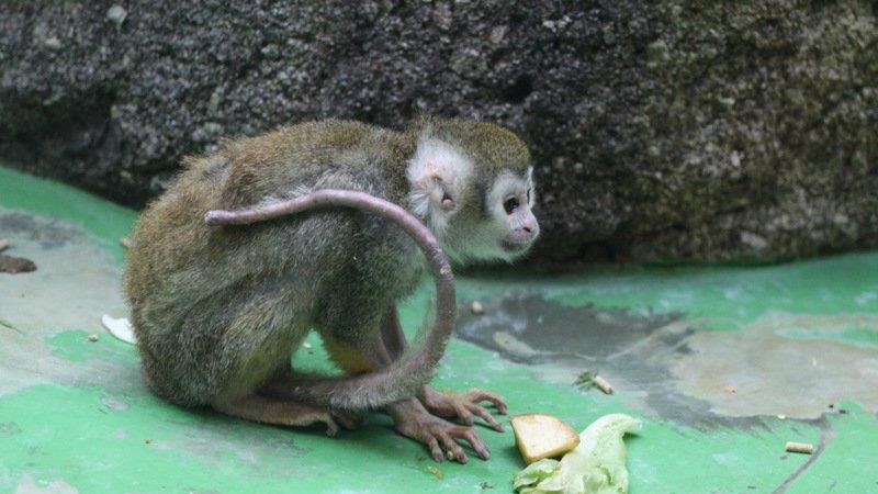 Frühling im Zoo München