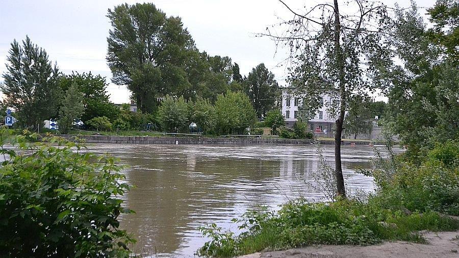 Leserreporter: Hochwasser in Wien-Döbling (Donau bei Nussdorf)
