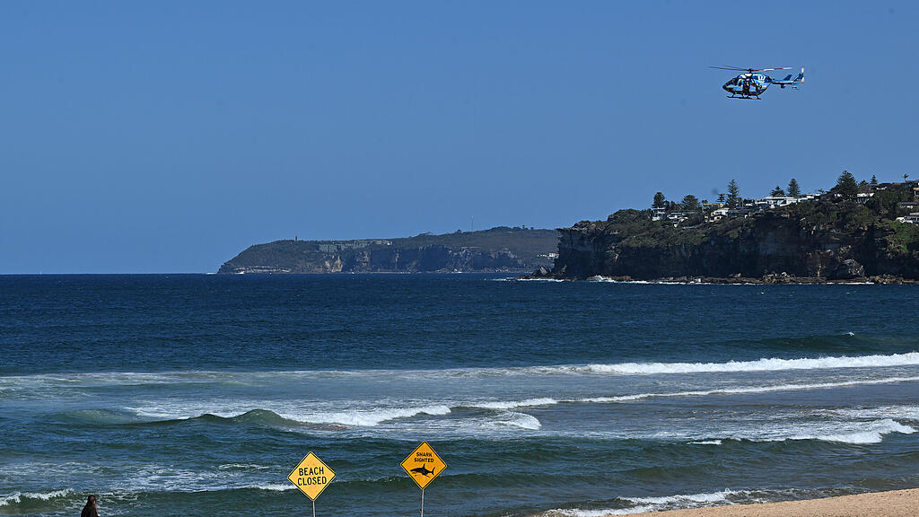 Hai-Angriff Sydney