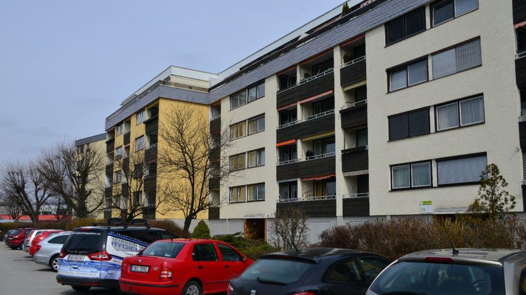 Info-Veranstaltung in Turnsaal