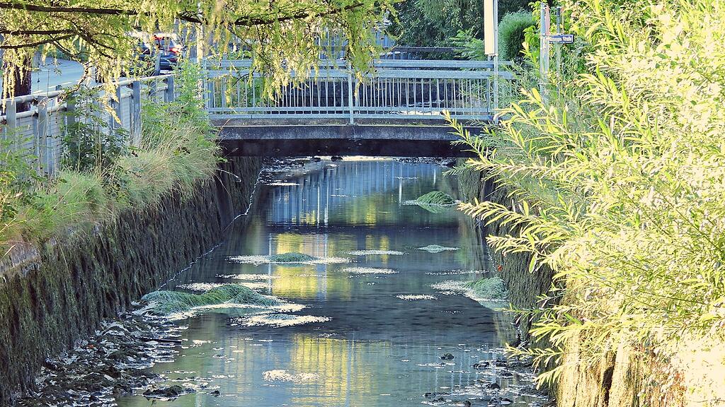 Reinigung Almkanal
