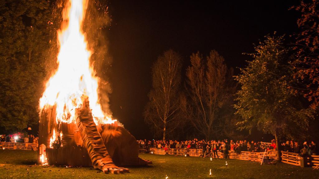 Burning Animal II