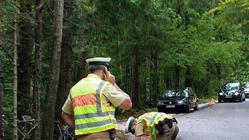 Biker prallt in Baum
