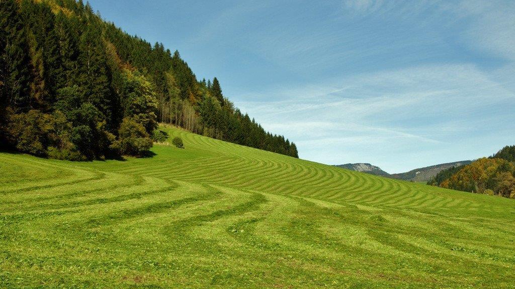 Herbst in Spital am Phyrn