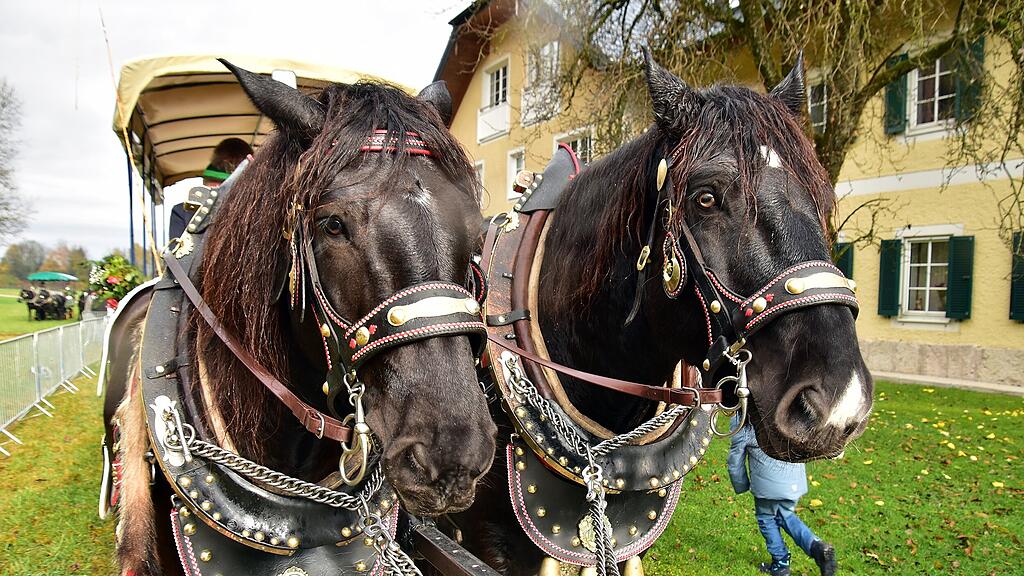 Leonhardiritt in St. Leonhard