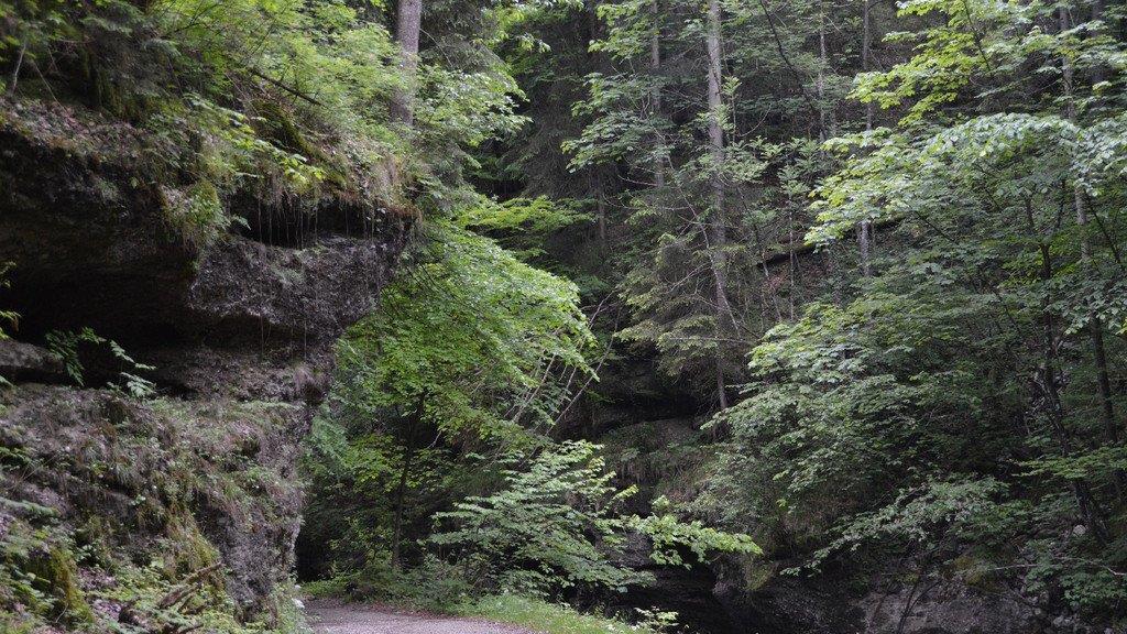 Hochwasser-Schäden in der Glasenbachklamm