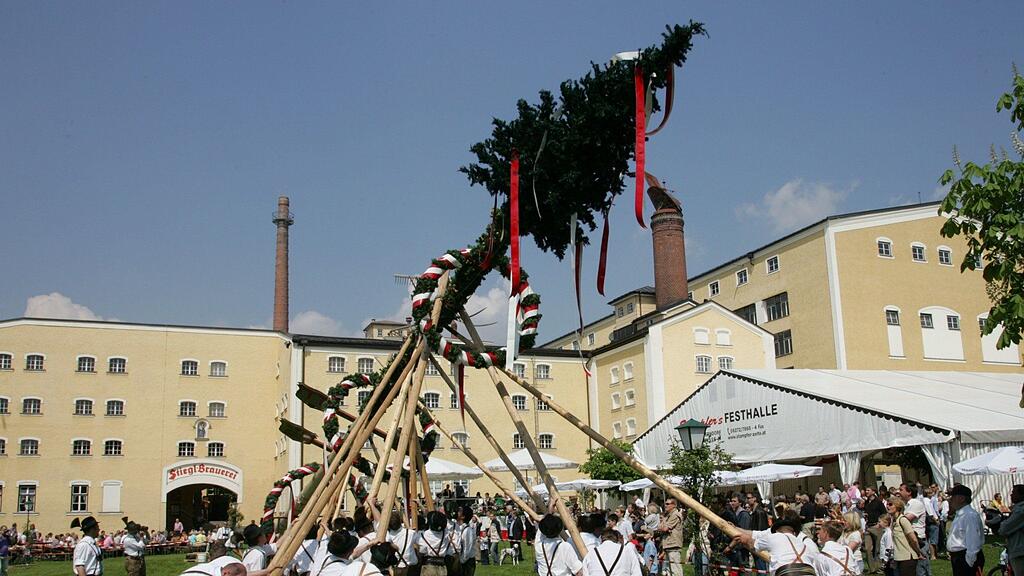 In ganz Salzburg werden um den 1. Mai wieder Maibäume aufgestellt.