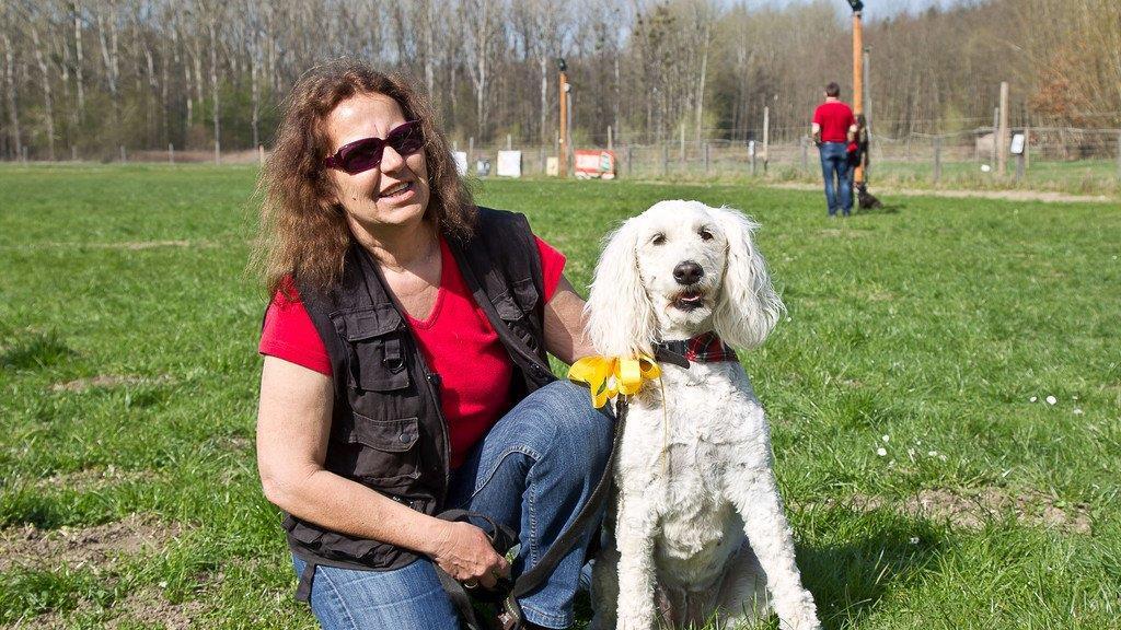 "Der gelbe Hund" in Nußdorf