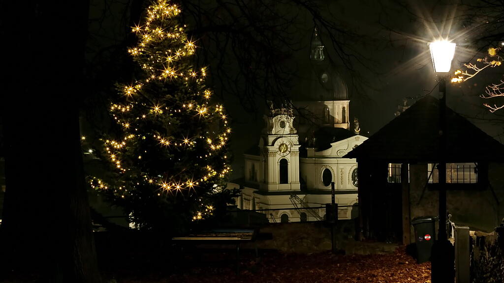 20201128_fmt_weinachtsbaum_KJ003.JPG