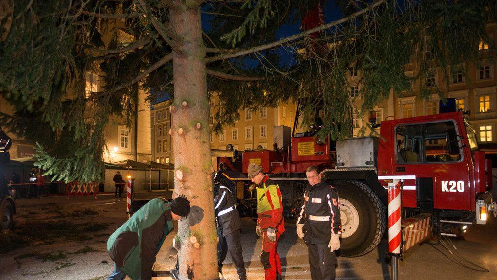 Salzburger Christbaum steht