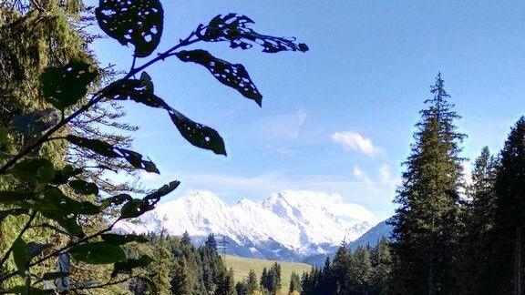 User-Bilder: Herbst in Salzburg