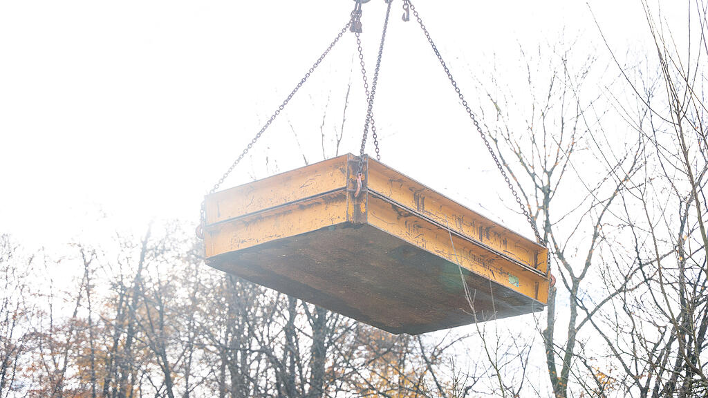 Christbaumernte in St. Jakob am Thurn