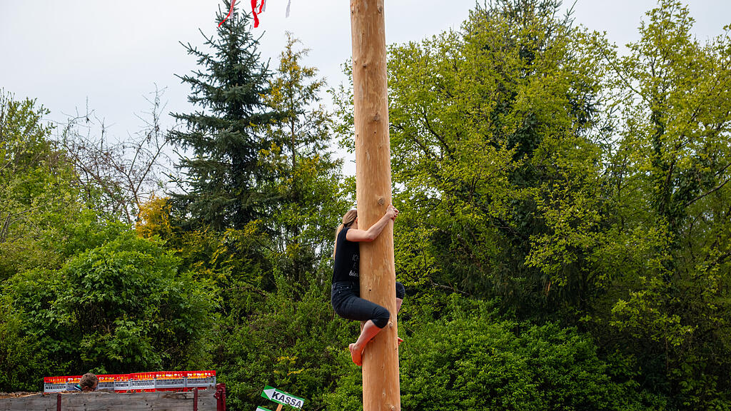 Maibaumaufstellen in Aigen