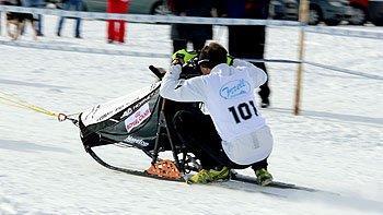 Hundeschlittenrennen in Inzell